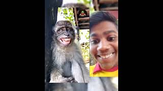 Bador VS amai konta valo hoya cha😂 funny comedy shorts youtubeshorts sashtidebnath99 trending [upl. by Olnton798]