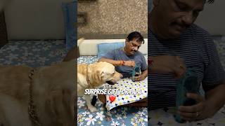 New Phone For Papa❤️ minivlog ytshortsindia ytshorts doglover familyvlog labradorlovers [upl. by Yahs586]