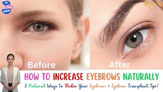 3 Natural Ways to Thicken Your Eyebrows  Eyebrow Transplant Tips eyebrows eyebrowtips eyebrow [upl. by Lebyram65]