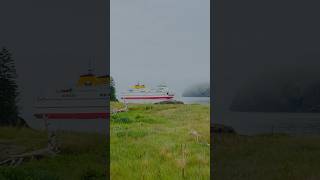 Grand manan islandNew Brunswick ferry travel adventure shorts subscribe video trending trip [upl. by Yesllek]