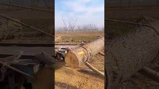 Clever loading process of timber logs [upl. by Quinby]