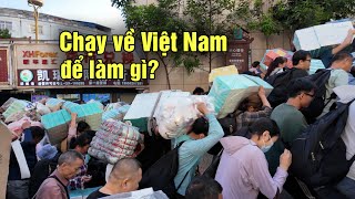 Tiểu thương Trung Quốc chen lấn đổ xô sang Việt Nam từ sớm để làm gì [upl. by Ecerahs982]