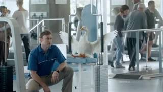 Aflac Commercial [upl. by Cuda]