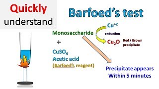 Barfoed test [upl. by Rosdniw]