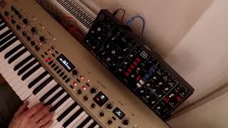 TMTQ  Behringer Model D  Bass Test moog Old School Funk  HQ Audio [upl. by Harlan]