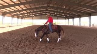 Matt Mills Reining  How to Teach Your Horse How to Spin Step 1 [upl. by Auston]