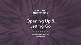 Opening Up amp Letting Go Meditation [upl. by Fineman33]