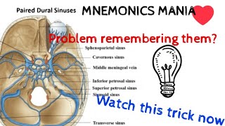 PAIRED DURAL VENOUS SINUSESSelf made mnemonics [upl. by Nerok]