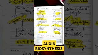 AUXIN BIOSYNTHESIS• IPA PATHWAY• TRYPTAMINE PATHWAY• CSIR NET LIFE SCIENCES auxincsirnetlifescien [upl. by Spence]