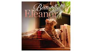 Beautiful Eleanor  Lady Apptitude Official Audio [upl. by Selin]