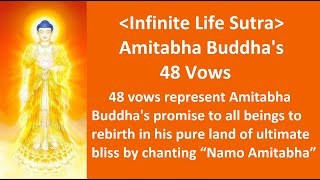 Amitabha Buddhas 48 Vows  representing his promise to all beings Infinite Life Sutra [upl. by Corinna233]