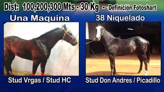 4 PAREO  Una Maquina vs 38 Niquelado  Hip Virgen del Caacupe En Vivo [upl. by Palmira]