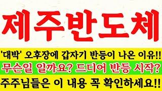 제주반도체 대박 오후장에 갑자기 반등이 나온 이유 무슨일 일까요 드디어 반등 시작 주주님들은 이 내용 꼭 확인하세요 박부장 [upl. by Suzzy]