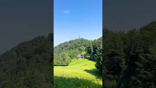 Hike from Uetliberg to Felsenegg Zurich Switzerland [upl. by Kerianne880]