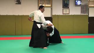 Uchi Kaiten Nage  Aihanmi Katate Dori [upl. by Yule832]