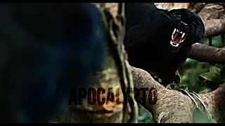 Best Scenes Of Apocalypto 2006 Part 3  1080p [upl. by Elyagiba]