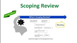 Scoping Review [upl. by Marta]