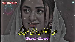 Che alakano zulfe loye k tapay slowed reverb  SR SONGS [upl. by Dyann]