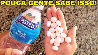 MISTURE NAFTALINA NO VINAGRE E VOCÊ NÃO VAI ACREDITAR 😱😱 É INCRÍVEL [upl. by Luapsemaj651]