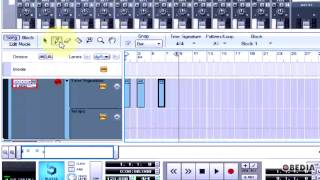 PROPELLERHEAD REASON how to automate a time signature change [upl. by Khalid]