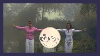 Zhineng Qigong introductie les 2 [upl. by Nicolau]