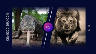 Lion vs Komodo dragonKomodo dragon vs LionAfrican Lion vs Komodo dragon AnimalFacts972 [upl. by Reve217]