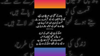 Beeti Hui Yaadeinquot trending love youtubeshorts urdupoetry urduquotes urdushayari sad shorts [upl. by Yar710]