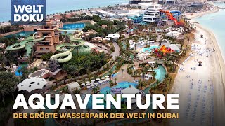 AQUAVENTURE  Der größte Wasserpark der Welt in Dubai  HD Doku [upl. by Aivatnuhs424]