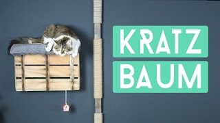 DIY Kratzbaum für die Wand Einfach selber machen [upl. by Zelma]