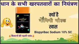 Nominee Gold Herbicide  Bispyribac Sodium 10 SC  धान की नर्सरी में नॉमिनी गोल्ड का स्प्रे [upl. by Peck]