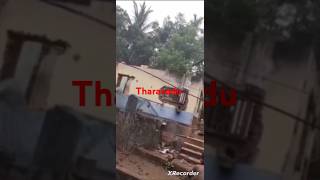 Tharavadu part 2 youtubeshorts [upl. by Stanzel473]