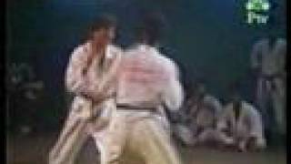 Kung Fu Fighter beat Karate fighter [upl. by Pallaton832]