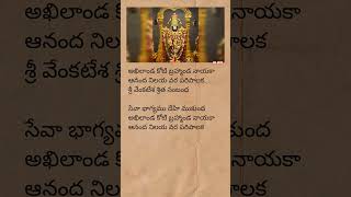 Akhilanda koti brahmanda nayaka song lyrics  venkateswara devotionalsong telugulyrics trending [upl. by Neved]