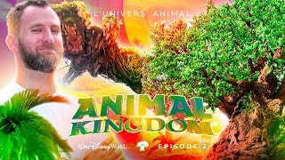 Journée inoubliable à Disneys ANIMAL KINGDOM  🌳🦁 [upl. by Alarick]