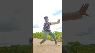 Maro Maro  Bunny  Allu Arjun  shorts trending dance viralvideo [upl. by Akahs]