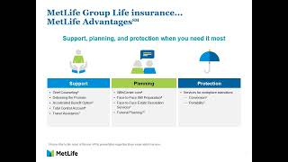 MetLife Life Insurance SEBB 2023 [upl. by Ardna325]