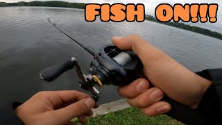 BFS Perch fishing Amsterdam Shimano zodias Curado xg [upl. by Eenor]