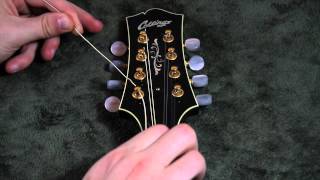 Restringing Your Mandolin WEB HD [upl. by Nima]