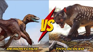 Deinonychus vs Thylacoleo The Duel of Prehistoric Predators [upl. by Trebreh]