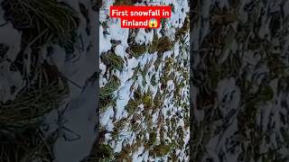 Finland vaasa snow foryou viralshorts youtubeshorts viralreels [upl. by Jezabel]