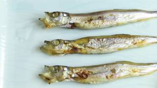 HEAD TO TAIL EATING  GRILLED CAPELIN FISH WITH ROE RECIPE  Cooking with Chef Dai [upl. by Ahsratan]