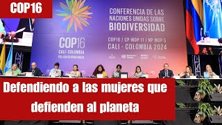 Defendiendo a las mujeres defensoras cop16colombia [upl. by Seed]