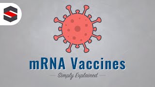 How mRNA Vaccines Work  Simply Explained [upl. by Sutit546]