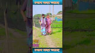 284newbanglanatok2024 shortvideo reels viralvideo [upl. by Wenz]