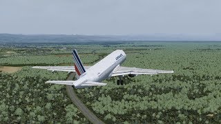 Fatal Flyover  Air France Flight 296 [upl. by Hayn783]