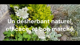 Un désherbant naturel efficace et bon marché [upl. by Oigile]