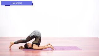 How to perform ‘Halasana’  Yoga with Shilpa Shetty [upl. by Gildea]