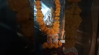 Laxmi g aayi mere dwar [upl. by Edijabab169]