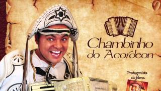 Chambinho do Acordeon Paraíba [upl. by Warder]