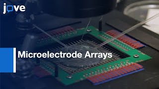 Microelectrode Arrays to Record Epileptiform Activity in Brain Slices  Protocol Preview [upl. by Elletnwahs188]